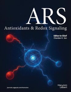 Modern academic journal cover