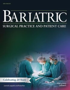 Modern academic journal cover