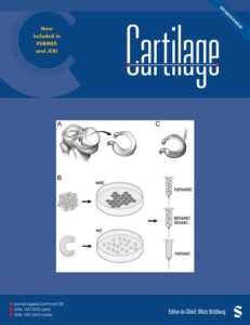 Modern academic journal cover
