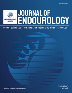 Modern academic journal cover