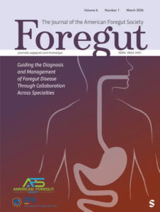 Modern academic journal cover