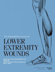 Modern academic journal cover