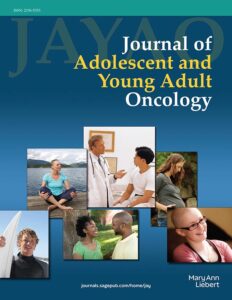 Modern academic journal cover