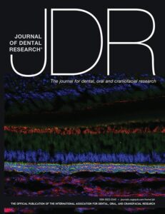 Modern academic journal cover