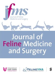 Modern academic journal cover