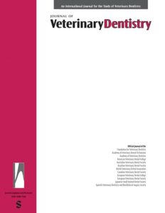 Modern academic journal cover