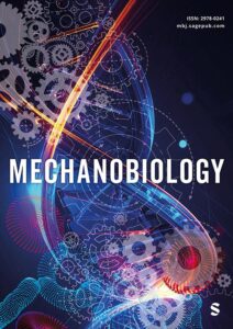 Modern academic journal cover