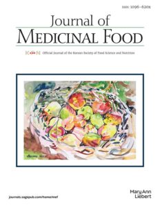 Modern academic journal cover