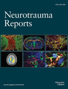 Modern academic journal cover