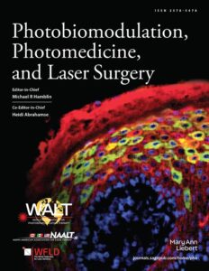 Modern academic journal cover