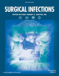 Modern academic journal cover
