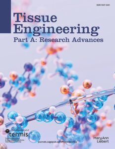 Modern academic journal cover