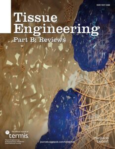 Modern academic journal cover