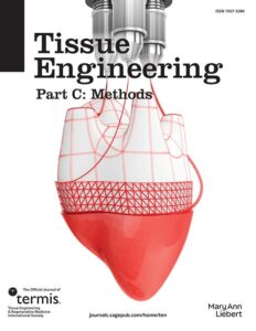 Modern academic journal cover