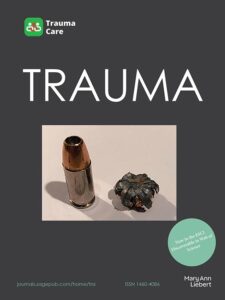 Modern academic journal cover
