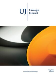 Modern academic journal cover