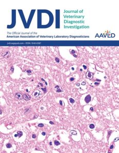 Modern academic journal cover