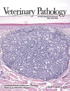 Modern academic journal cover