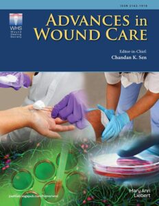 Modern academic journal cover