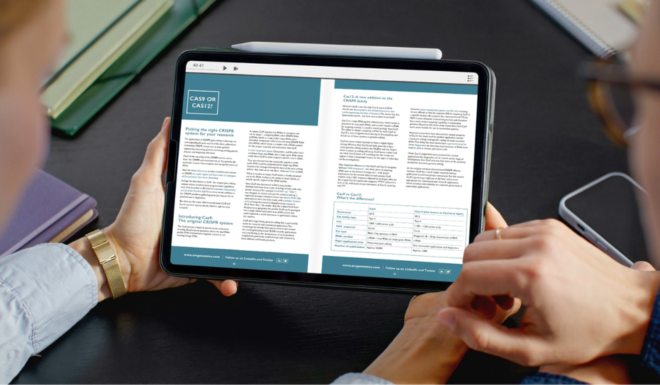 Two people look at eBook on an iPad